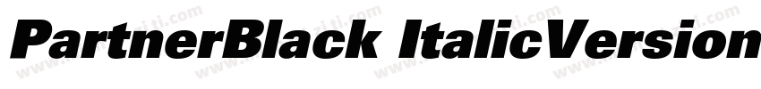 PartnerBlack ItalicVersion 001000字体转换